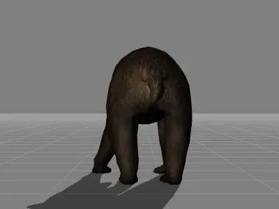 Bear v1 Low-poly 3D model