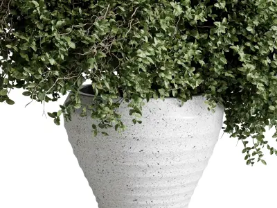 branches in a vase Bouquet 56 3D model