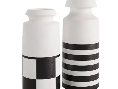 Black and White Ceramic Vases 3D model
