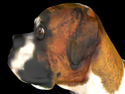 Dog Wheelchair 3D model