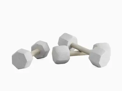 Concrete Dumbbell Set Low-poly 3D model