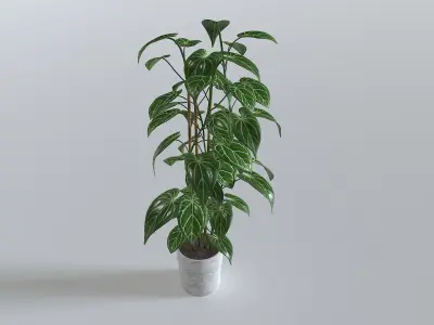 Pot Tropical Plant 1 Low-poly 3D model