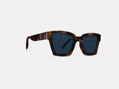 Sonia Sunglasses in Oak Barrel 3D model
