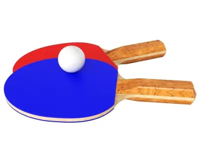 Ping Pong 3D model