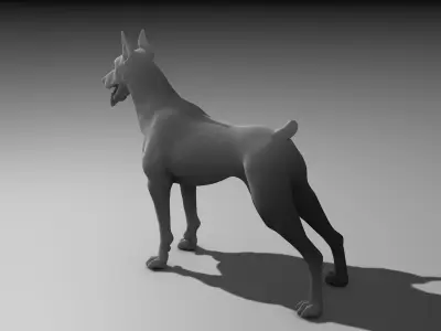 Dobermann High Poly - Base mesh 3D model