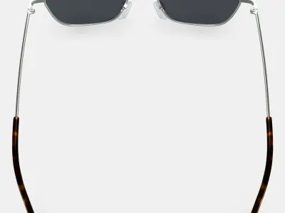 Healey Sunglasses in Polished Silver 3D model