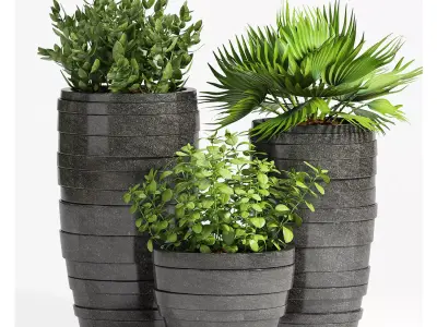 Decorative plant set-25 3D model