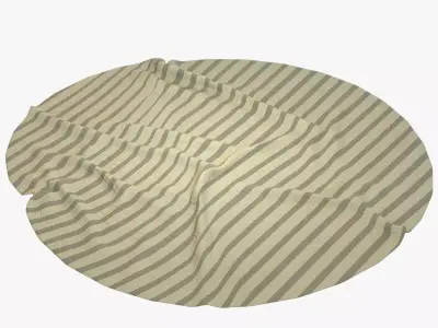 Anderson Rug 3D model