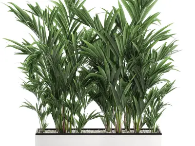 Decorative palm in a white flowerpot 573 3D model