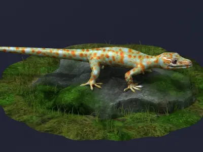 gecko animal lizard reptile stylized cartoon creature cute 3D model