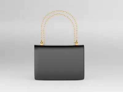 HAND BAG 3D model