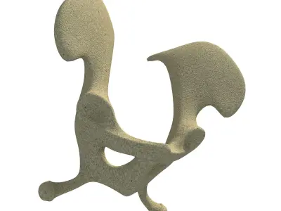Camel Animal Pelvis  3D model