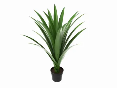 Artificial Yucca Plant in Pot 3D model