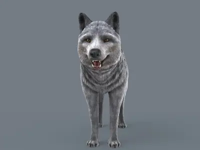 Wolf Low Poly Low-poly 3D model