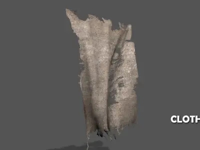 Seamless FBX Torn Cloth Animations 3D model