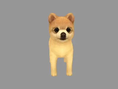 Cartoon pet puppy - Pomeranian - baby dog Low-poly 3D model