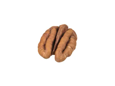 Photorealistic Pecan Nut 3D Scan 3D model