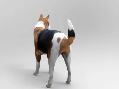 3D dog rigged  animated game ready low poly Low-poly 3D model