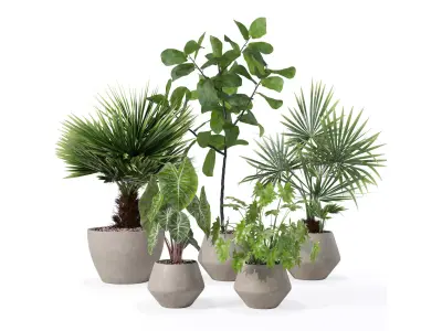 Plants collection 126 3D model