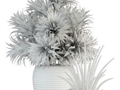 Plants collection 86 3D model