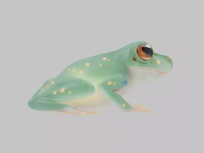 Magical Fantasy Frog Low-poly 3D model