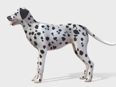 Dog - Dalmatian Low-poly 3D model