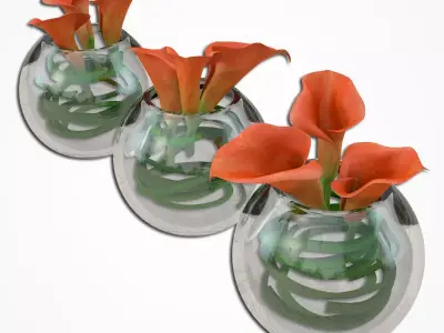 Callas small 3D model