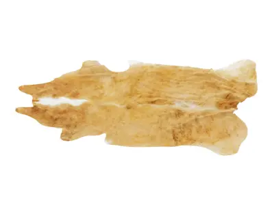 Animal skin rug 06 3D model