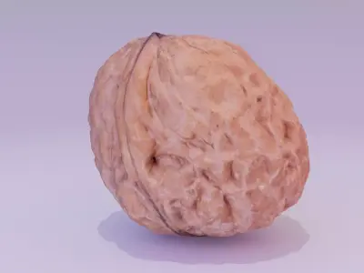 Walnut fruit 01 high-poly 3D model