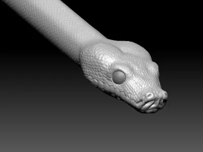 Python Zbrush Model 3D model