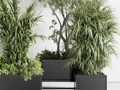 metal box plants on stand - set indoor plant 425 Low-poly 3D model