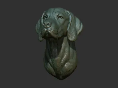 Hungarian Vizsla dog 3D print model