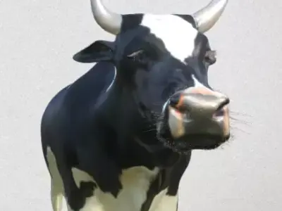 cow high-poly with long horns 3D model