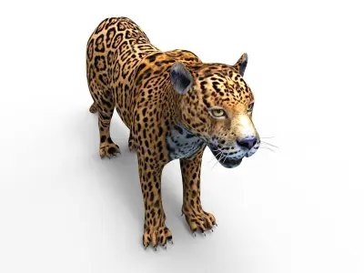 3D Leopard low poly model jaguar Low-poly 3D model