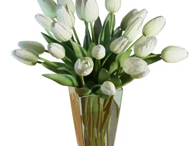 Flower Set 17 - White Tulips Bouquet 3D model