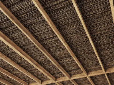 Ceiling canopy thin branch 3D model