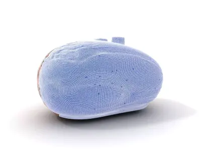 Carved Wooden Capsule model pack Low-poly 3D model