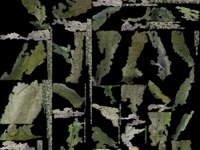 Fastigiata Hornbeam - Real Tree 3D Scan - Kew Gardens Collection 3D print model