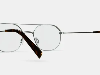 Renaldo Eyeglasses in Antique Silver 3D model