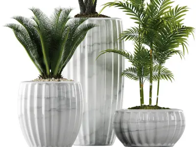 plants set 140 3D model