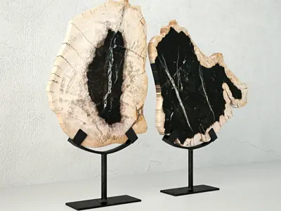 Petrified Wood Slices On Stand 3D model