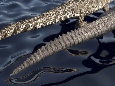 Crocodile Family In Water 3D model