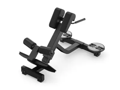 Technogym Pure Lower Back Bench  3D model