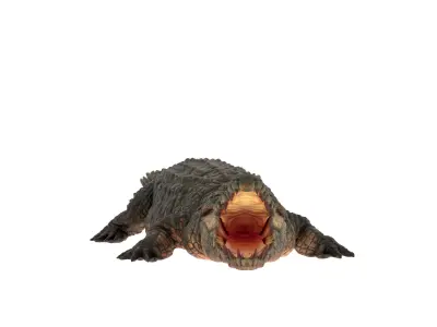 Crocodile Rigged 3D Model  3D model