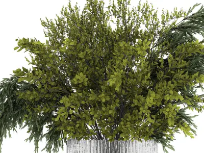 Bouquet Of Branches With Green Leaves In A Vase 441 3D model