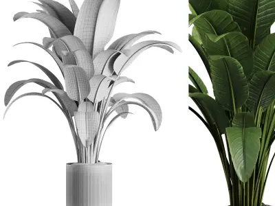 Indoor Plant Set V39 3D model