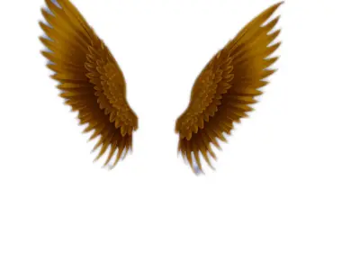 Golden Angel Wings 3D Model for Printing and Rendering 3D print model