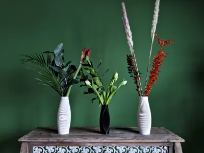 Elegant VASE Version Volute 3D print model