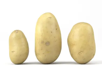 Three Different Photorealistic Potato 3D Scans 3D model