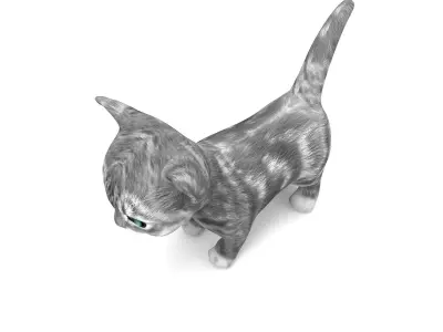 3D Cartoon cute cat  Low-poly 3D model